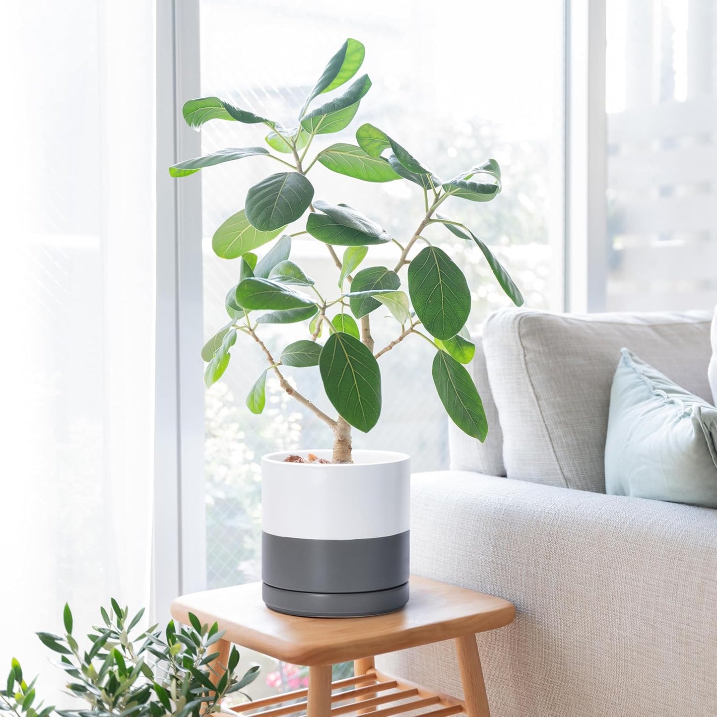 D'vine Dev 8.2 Inch Ceramic Planter Pot with Drainage Hole and Saucer, Indoor Cylinder Round Planter Pot, White/Speckled Grey, 94-O-D-6