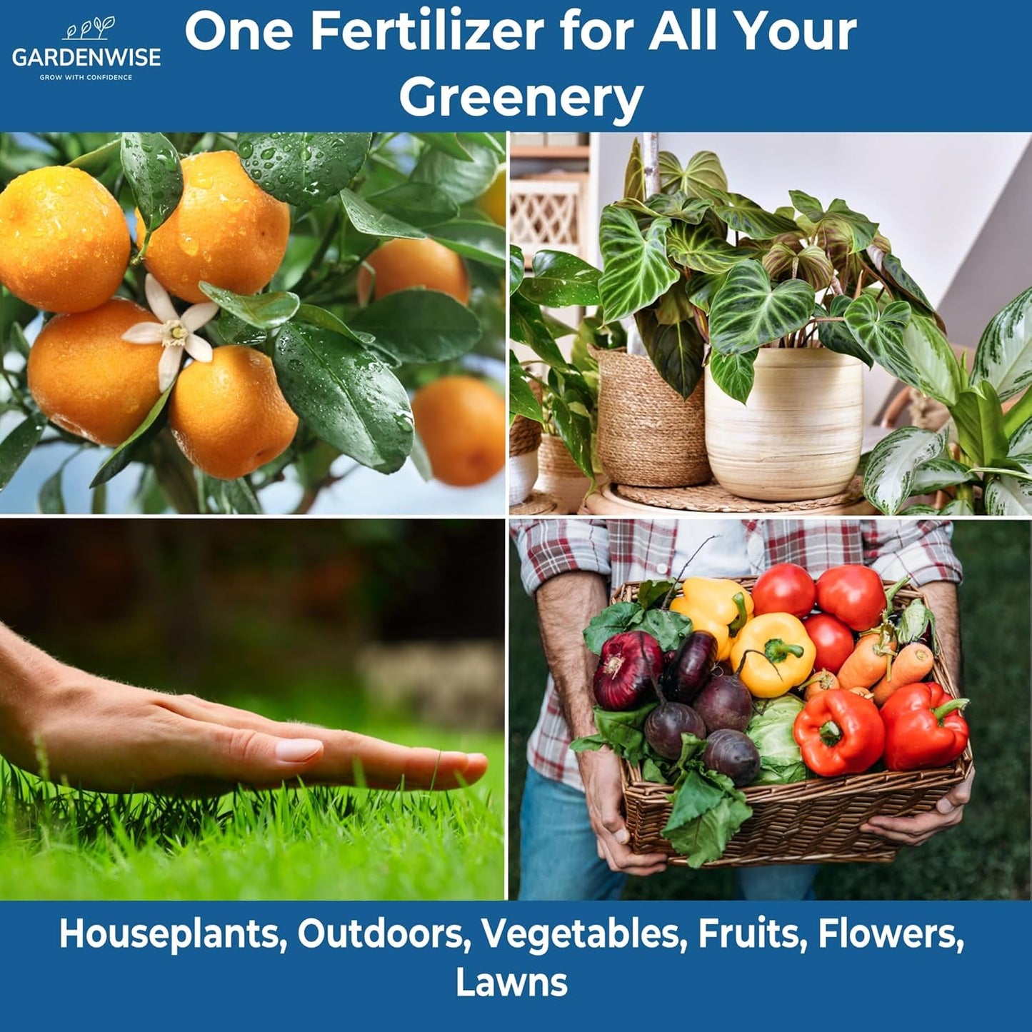 20-20-20 Water-Soluble Fertilizer – Powder for Liquid Plant Food for Indoor & Outdoor Plants, Orchids, Vegetables, Lawns, Flowers – 20 20 20 Fertilizer 4 Quarts (8 lbs)