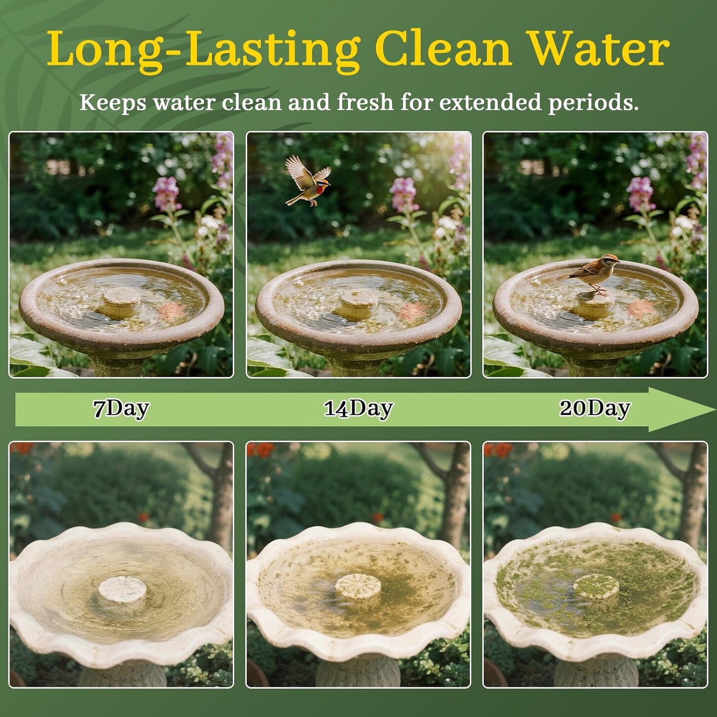 Bird Bath Copper Disk,Bird Bath Purification Disk 0.6mm Reinforced 99.99% Pure Copper Cleaning Disk with 3-Point Support,Fits Outdoor Birdbath & Bowl,Provide Safe Clean Water,Maple Leaf-2Pcs