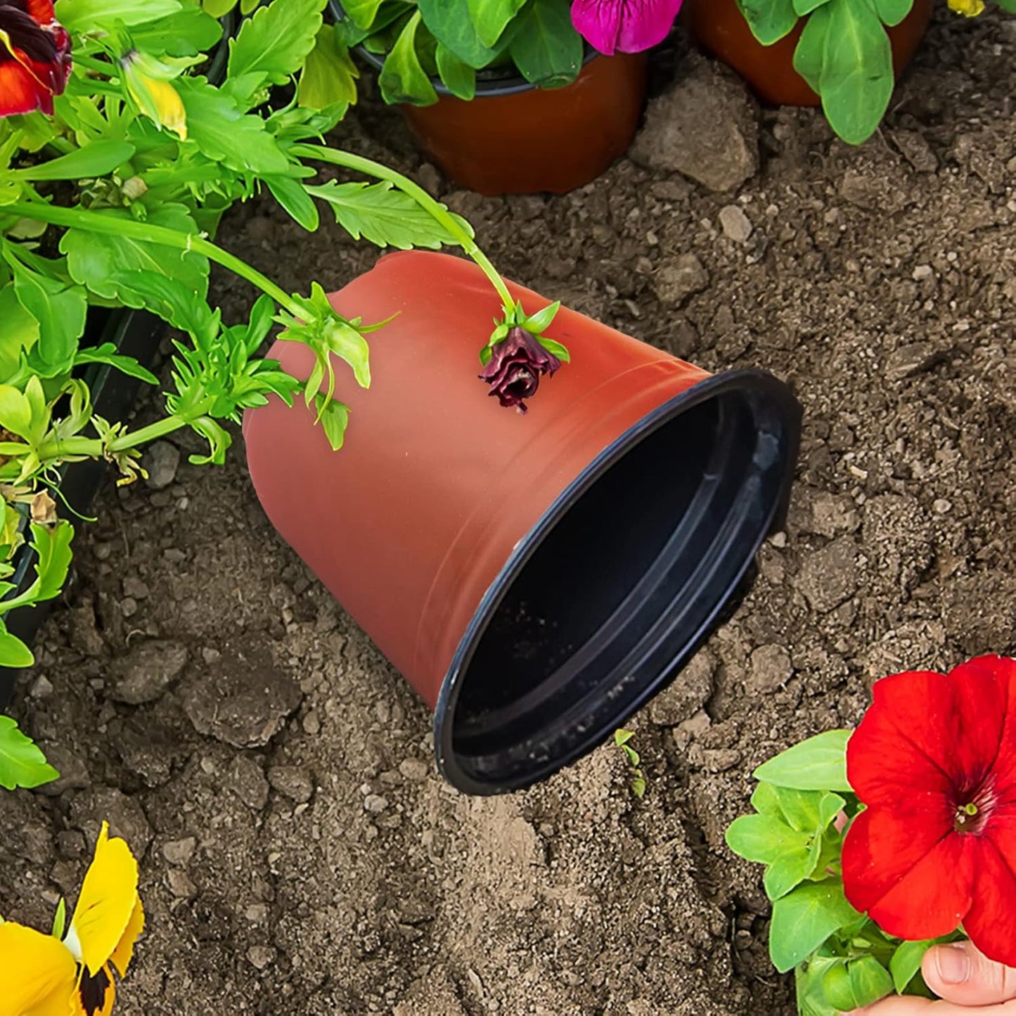 50 Pack 1 Gallon Plastic Plant Nursery Pots Thickened Soft Plastic Plant Pots with 50 Pcs Waterproof Plastic T-Type Plant Tags and 2Pcs/Set Transplanting Digging Mini Tools