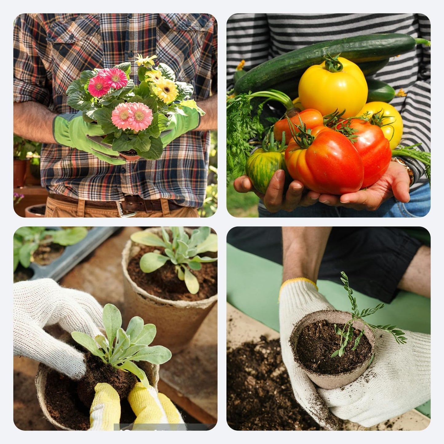 50Pcs Biodegradable Seedling Pots Seed Starter Kit 3.15 Inch Round Peat Pot with Drainage Holes, Plant Labels, Seedling Pickers & Garden Shovels