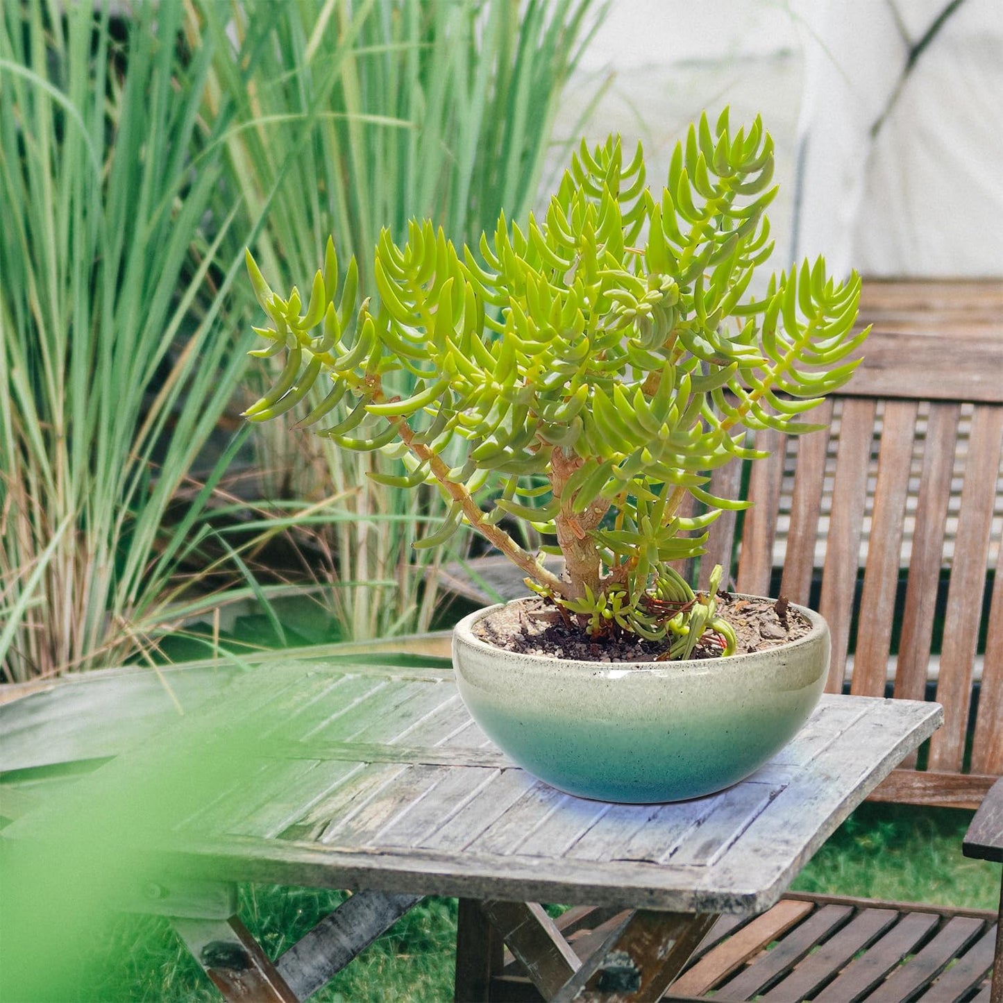 11 9 7 Inch Succulent Pot with Drainage and Mesh Pads Large Round Ceramic Plant Pot for Indoor Outdoor Plants Succulent Planter Cactus Bonsai Pot Container Set of 3 (White Green)
