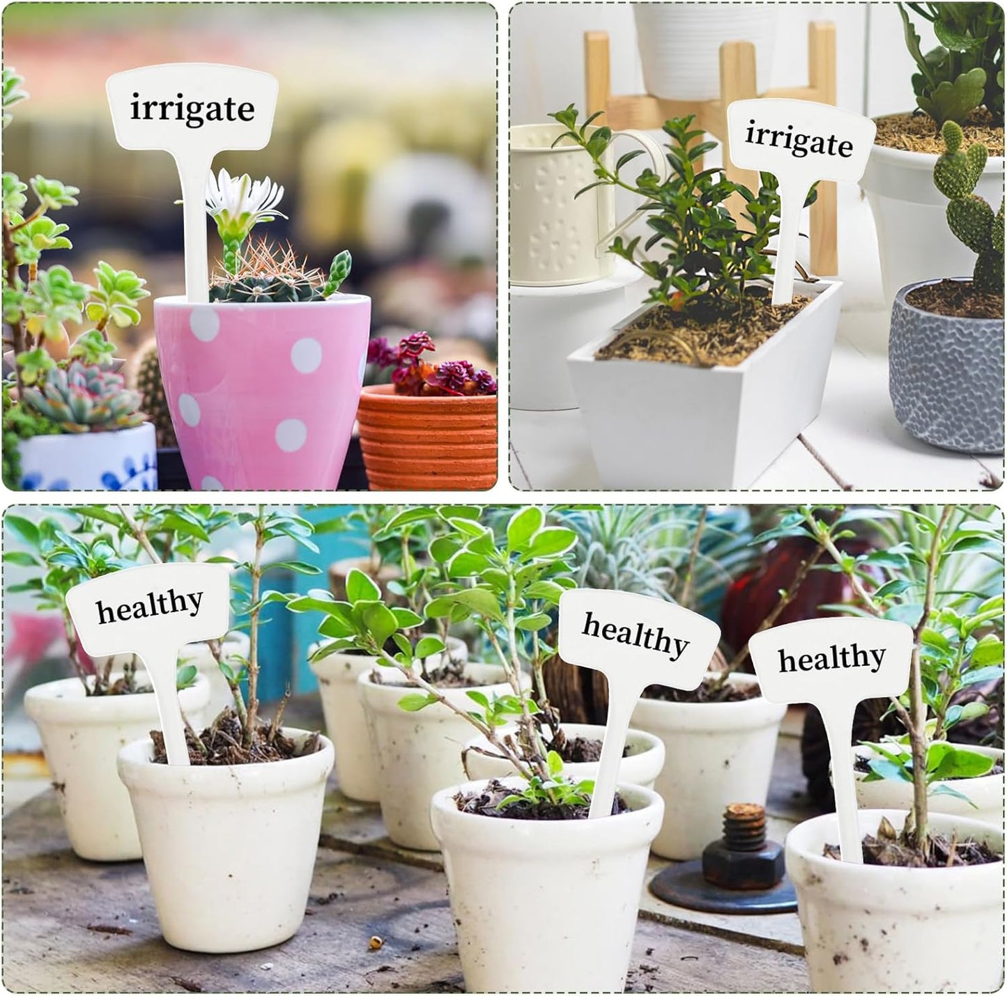 100 Pcs Plant Labels,T-Type 10.63inch Large Plastic Plant Tags Waterproof Plant Makers Nursery Garden Labels for Outdoor Indoor Plants Herbs Flowers Vegetable Potted Belt Marker Pen (White)