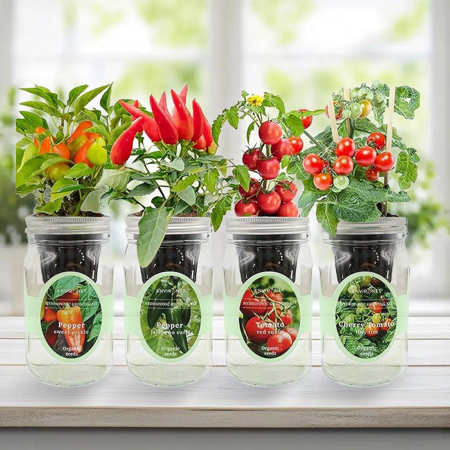 Hydroponic Herb Growing Kit Set, Self-Watering Mason Jar Herb Garden Starter Kit Indoor, Grow 4 Kinds of Herbs from Seeds (2 Tomato & 2 Pepper)