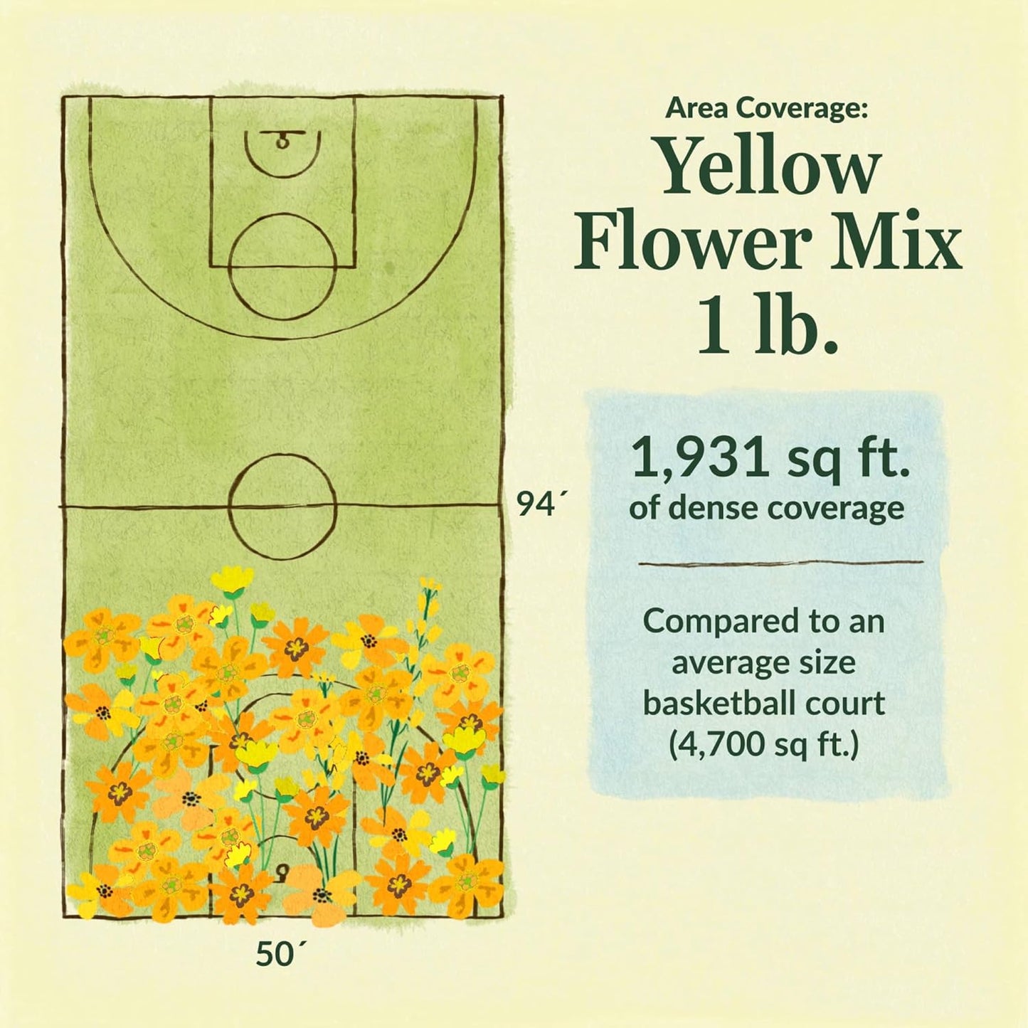 Ferry-Morse Yellow Mix Bulk Flower Seeds, 1lb