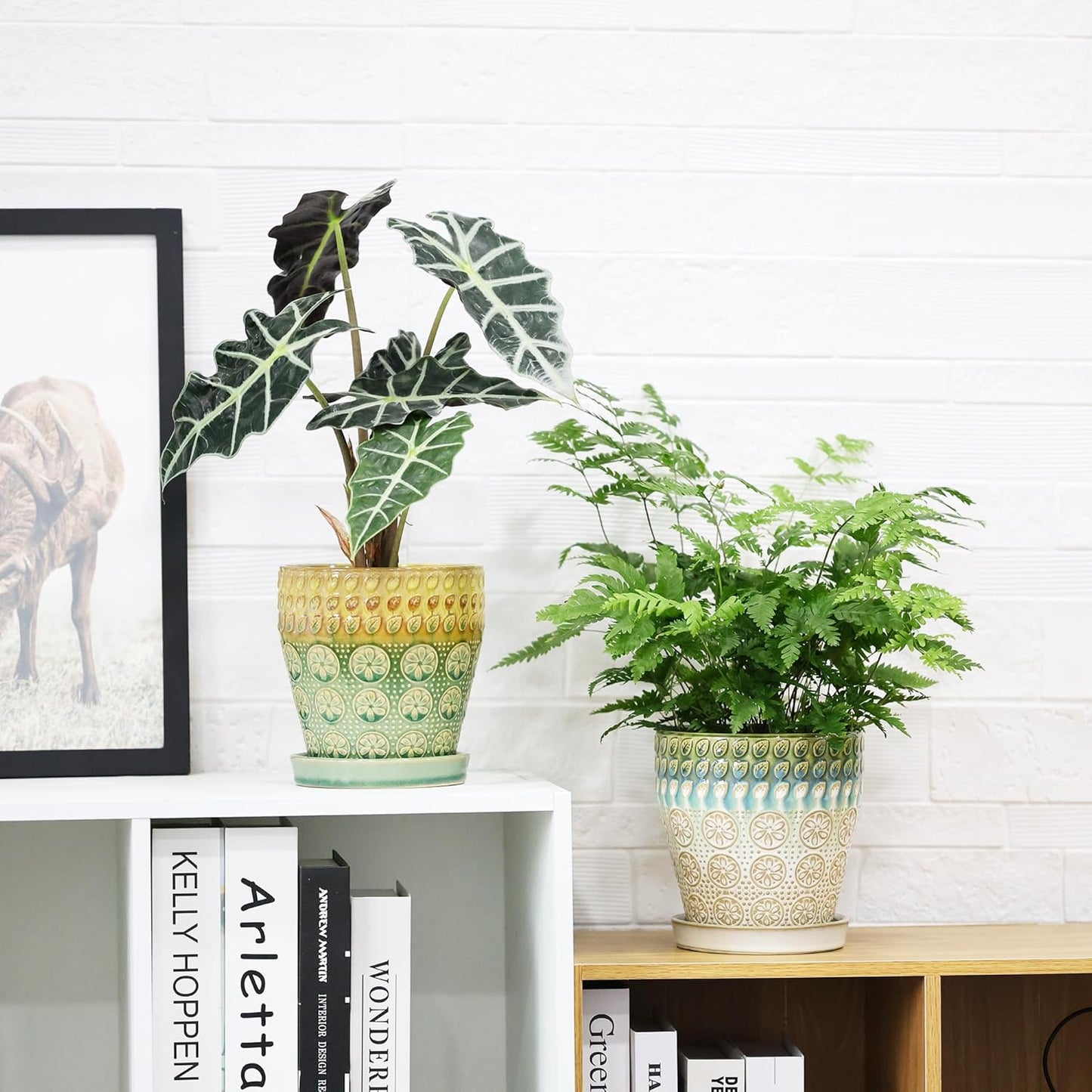 6 Inch + 5 Inch Ceramic Planter Pot with Drainage Holes, Saucers and Mesh Pads for Indoor-Outdoor Plants, Succulent Orchid Flower, Round Plant Pots, Set of 2