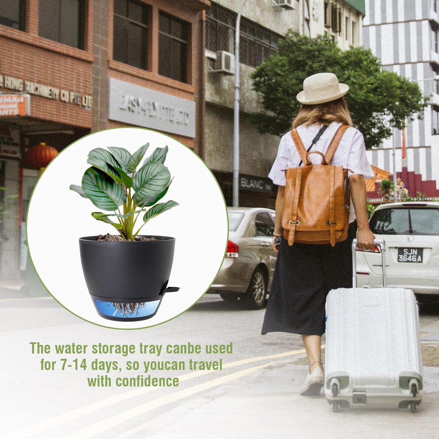 10 inch Self Watering Pots, 2 Pack Plastic Planters with Mesh Drainage Holes for Garden Plants and Flower, Plants Pots with Deep Reservoir for Indoor Outdoor Plants, Black