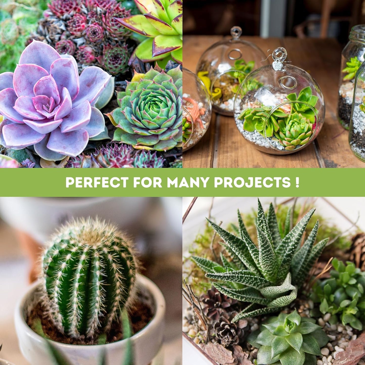 3FT LED Succulent Terrarium Plant Grow Light Linkable Full Spectrum Daylight with Enhanced 660nm Red and 450nm Blue LightTech Indoor Lighting Fixture (3 FT)