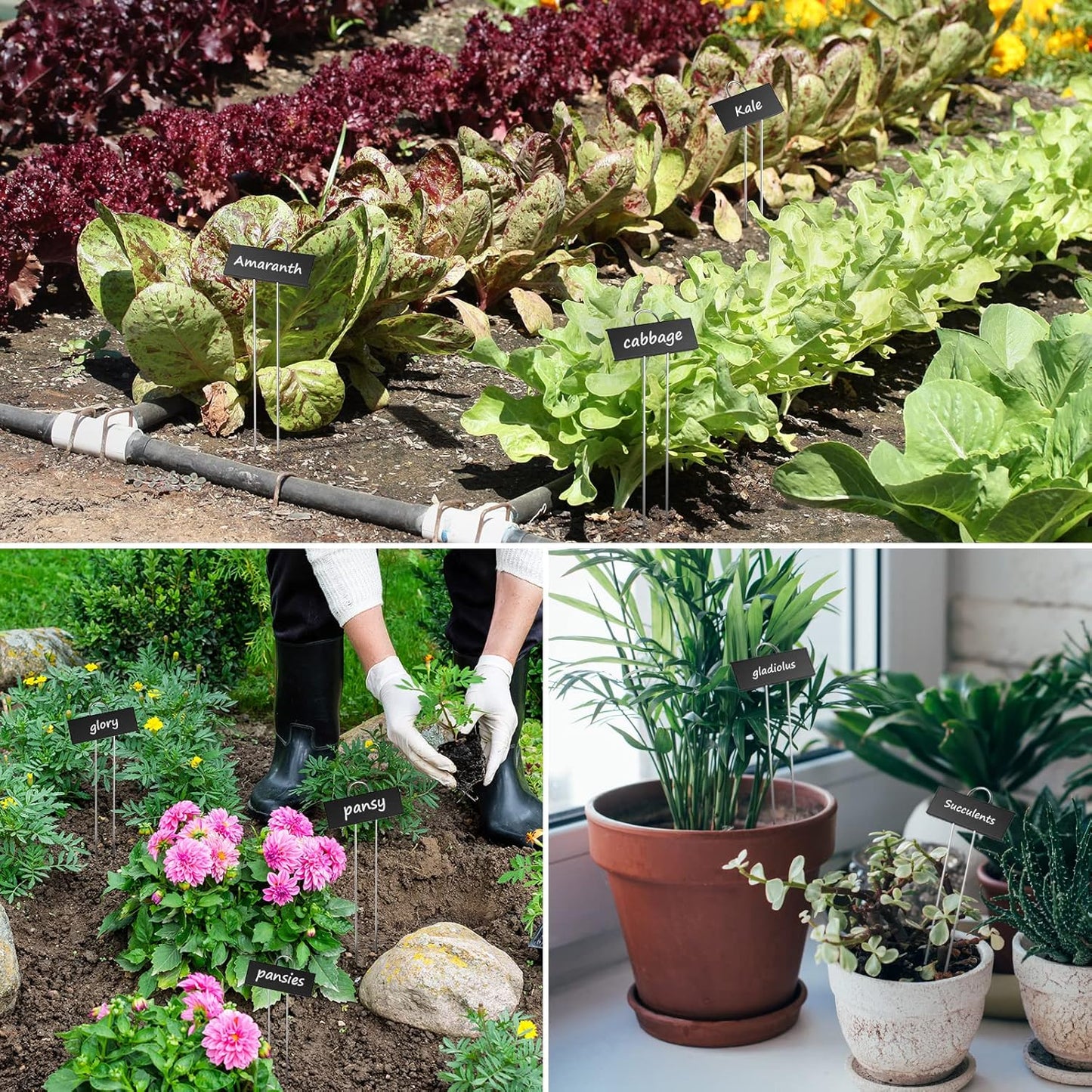 30-Pack Metal Plant Labels Weatherproof Garden Markers,Height 10.6'', Label Area 3.5''X 1.2'' Reusable Nursery Tags for Vegetables Herb Flower Seed Greenhouse - Black