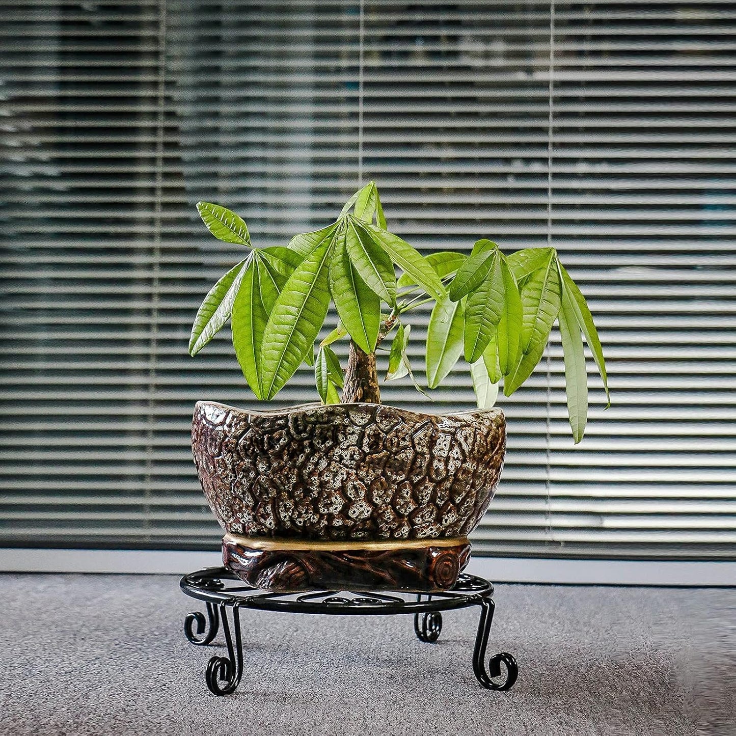 2 pack 10" 12" Rustproof Black Metal Plant Stands Heavy Duty Plants Holder Outdoor Indoor, Round Wrought Iron Sturdy Flower Planter Pot Stand, Corner Gardening Inside Potted Plant Risers