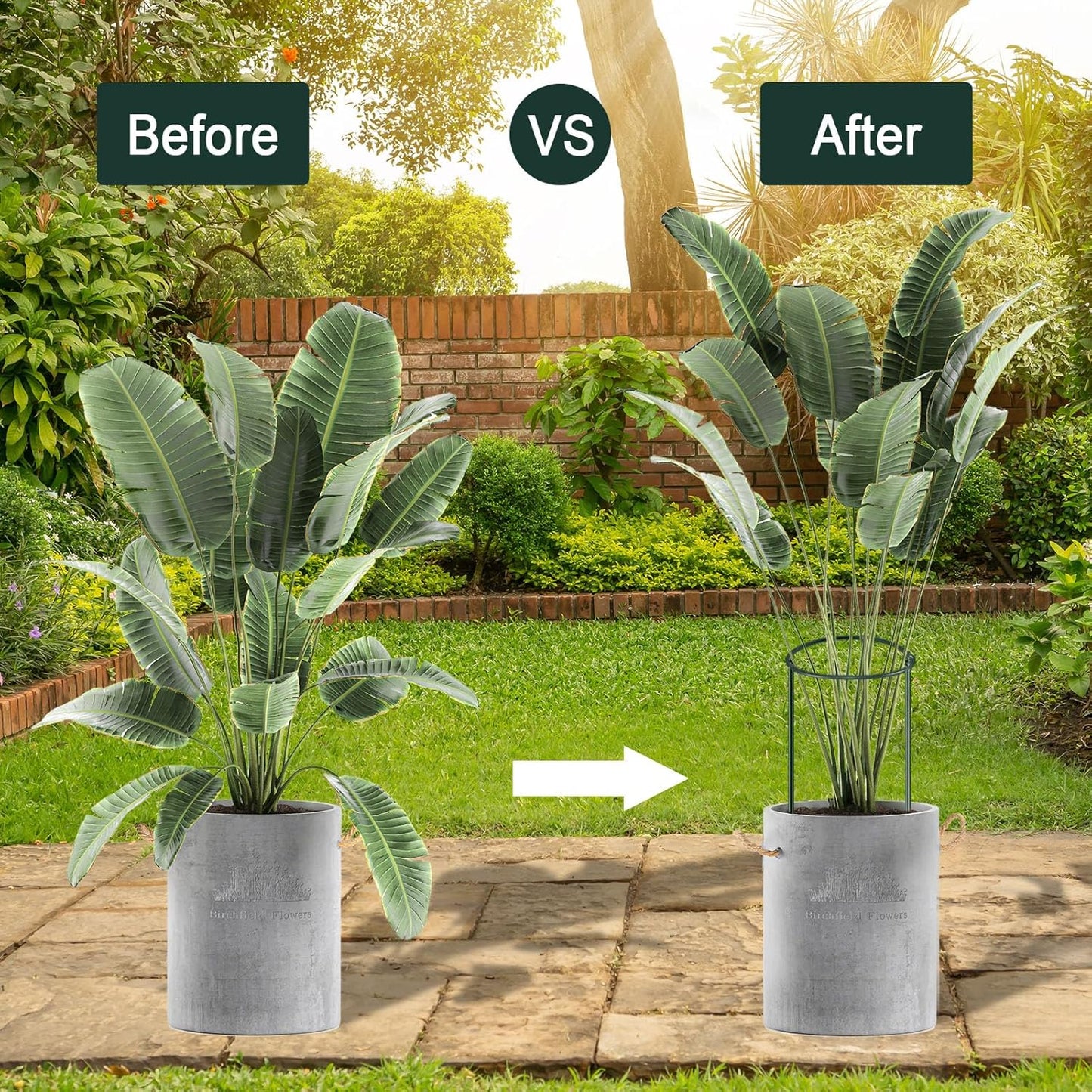 12 Pack Plant Support Stakes, Peony Cages and Supports Large 10" Wide x 24" High Tall Peony Ring Supports, Garden Plant Stakes for Outdoor Plants Rose, Tomato, Hydrangea, Flowers