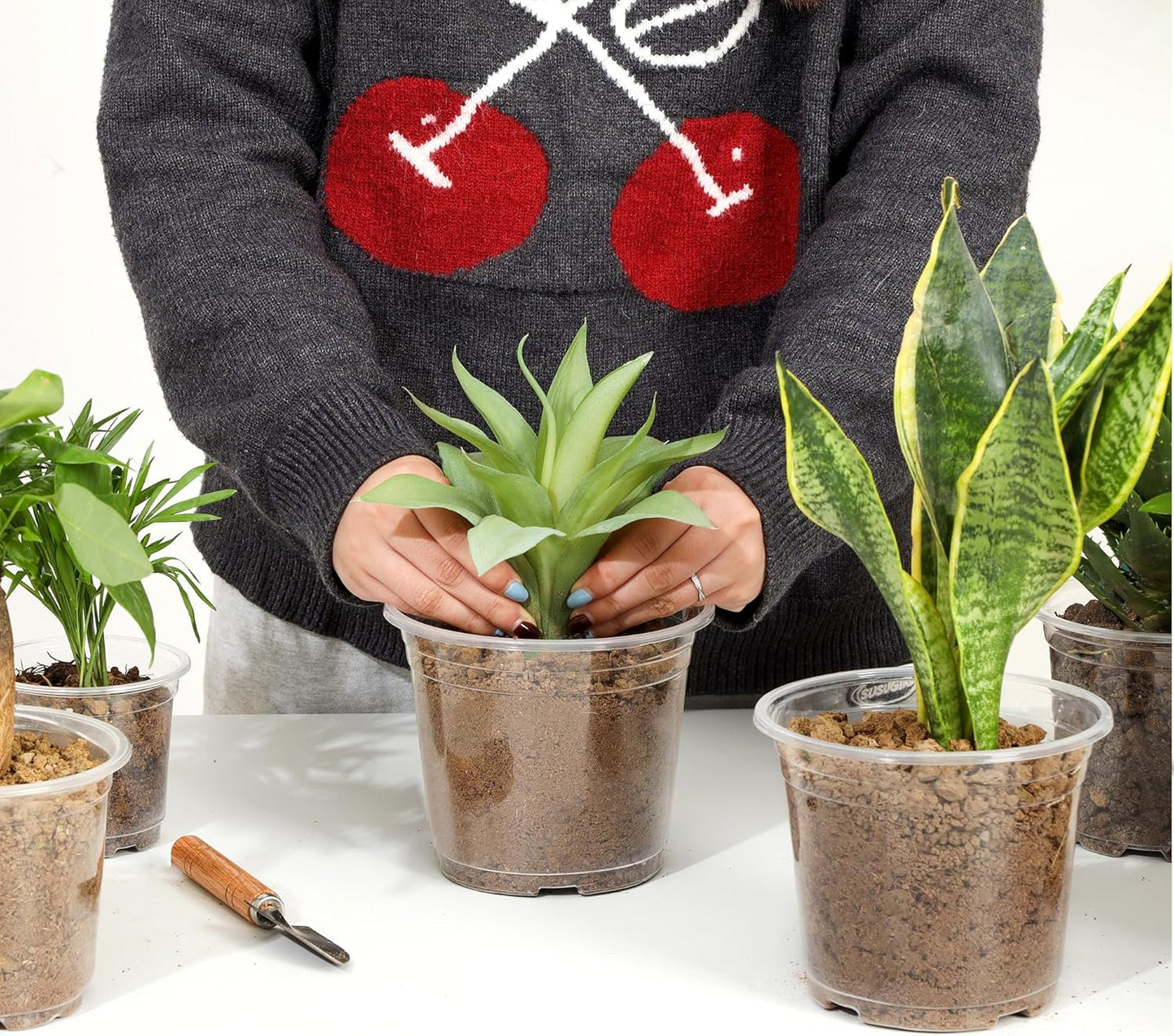 60 Pack 6 Inch Clear Nursery Pots with Drainage Holes, Transparent Plastic Plant Pots, Reinforced Seed Starter Garden Flower Pots, Comes with 50pcs Plant Labels