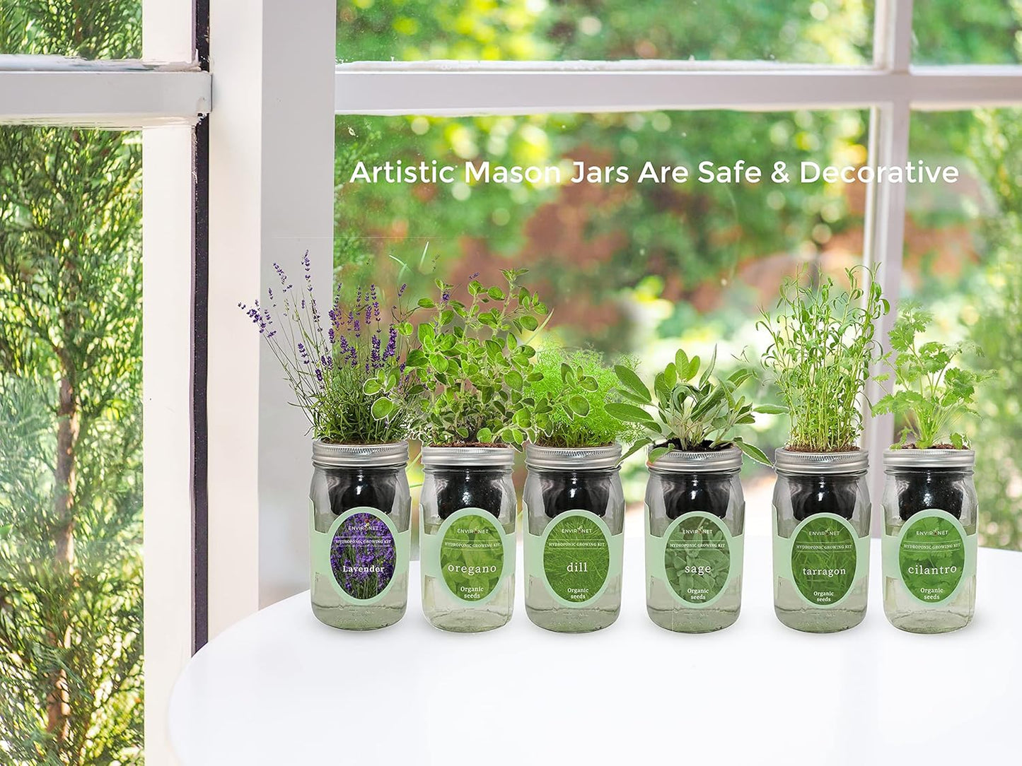 Hydroponic Growing Kit, Self-Watering Mason Jar Herb Garden Starter Kit Indoor, Windowsill Herb Garden, Grow Your Own Herbs from Organic Seeds (Basil)