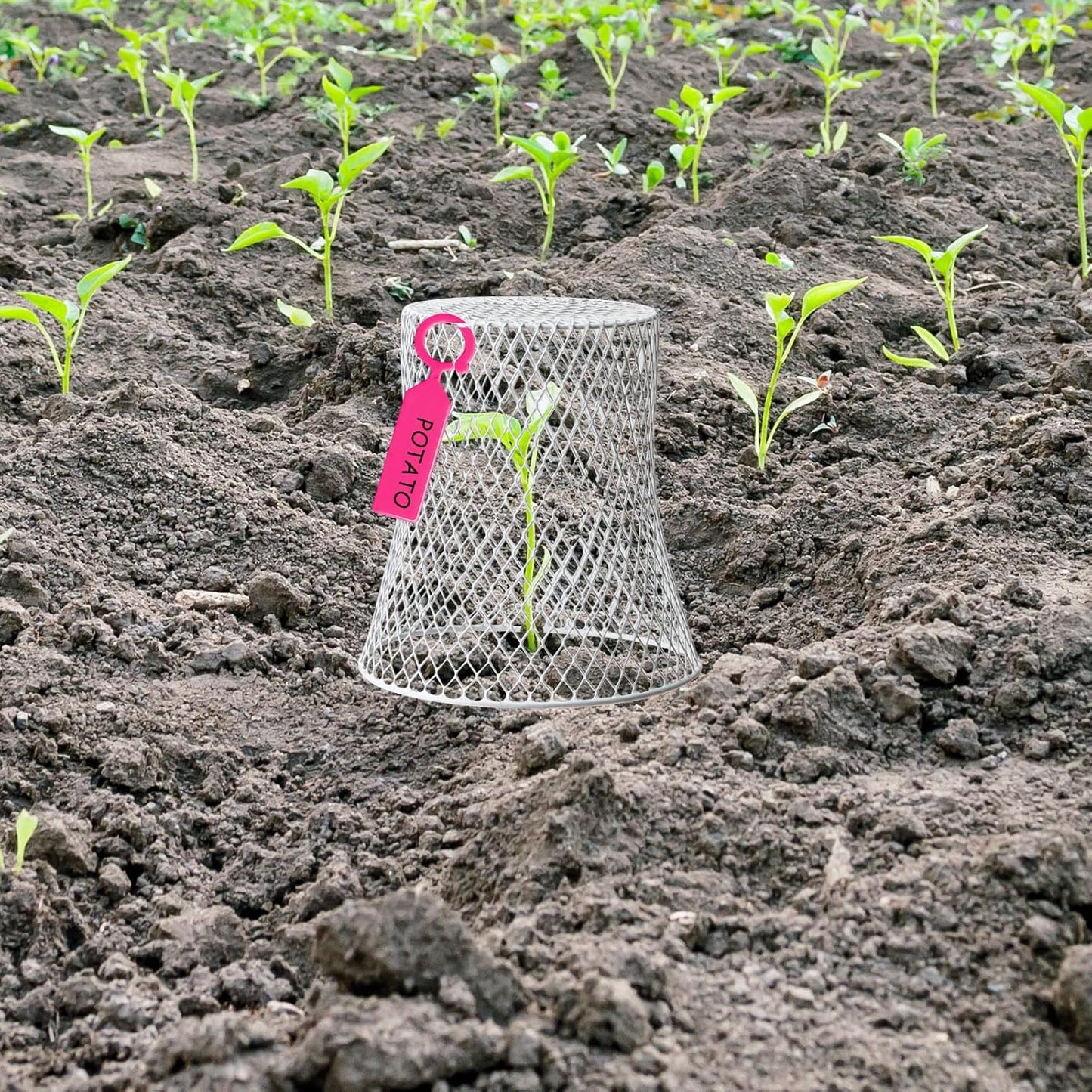 20 Pcs 99inch Chicken Wire Plant Covers Garden Cloches Metal Heavy Duty Plant Protector for Keeping Bunnies Squirrels Birds Other Out