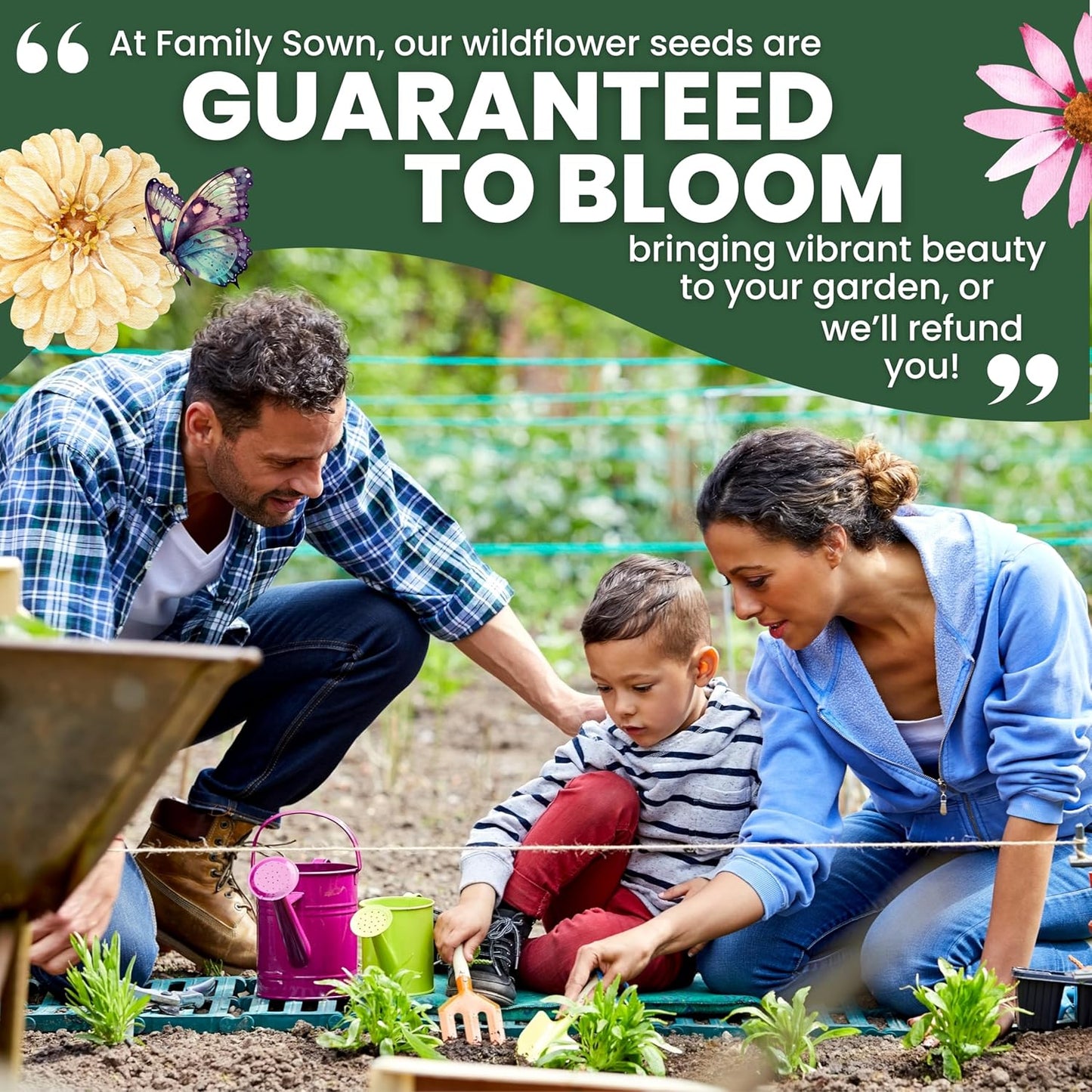 Hummingbird Butterfly Mix - Large 1 Ounce Packet - 7,500 Flower Seeds for Planting - Wildflower Mix