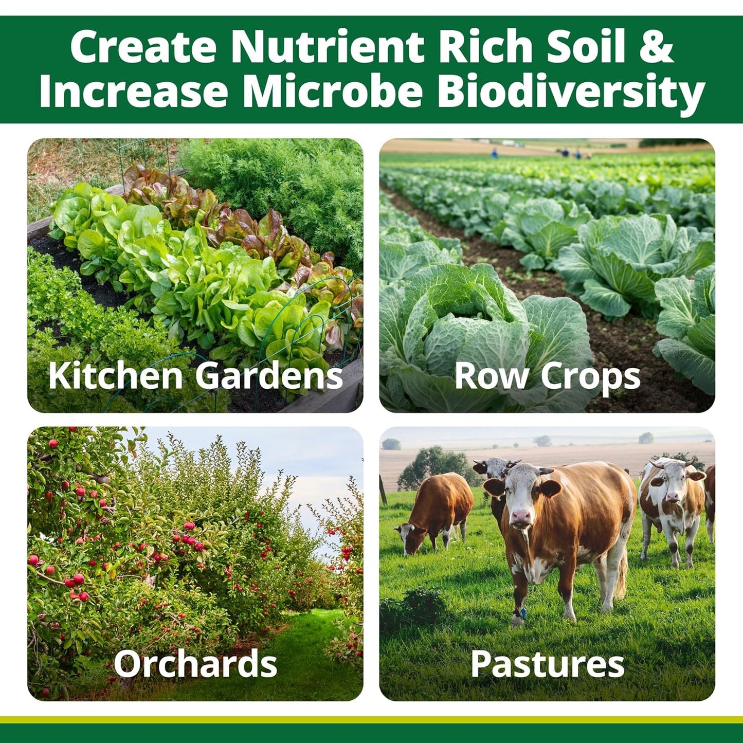 TeraGanix EM-1 Soil Conditioner (1 Btl = 16 Gal), Microbial Inoculant Concentrate, Plant Growth, Root Enhancer, Liquid Probiotic for Soils & Plants, Seed Germination, Garden, Lawn Care (16 fl oz)