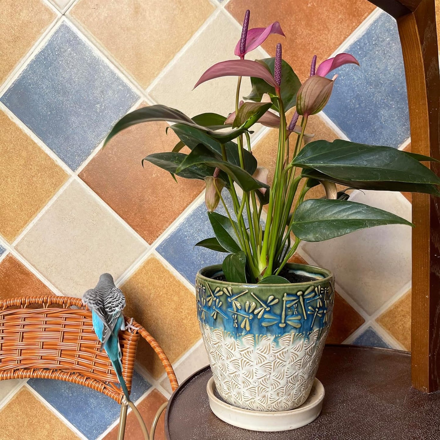 6 Inch Ceramic Planter Pots with Drainage Holes, Saucers and Mesh Pads for Indoor-Outdoor Plants, Succulent Orchid Flower Large Round Plant Pot, Set of 2 (Green+White)