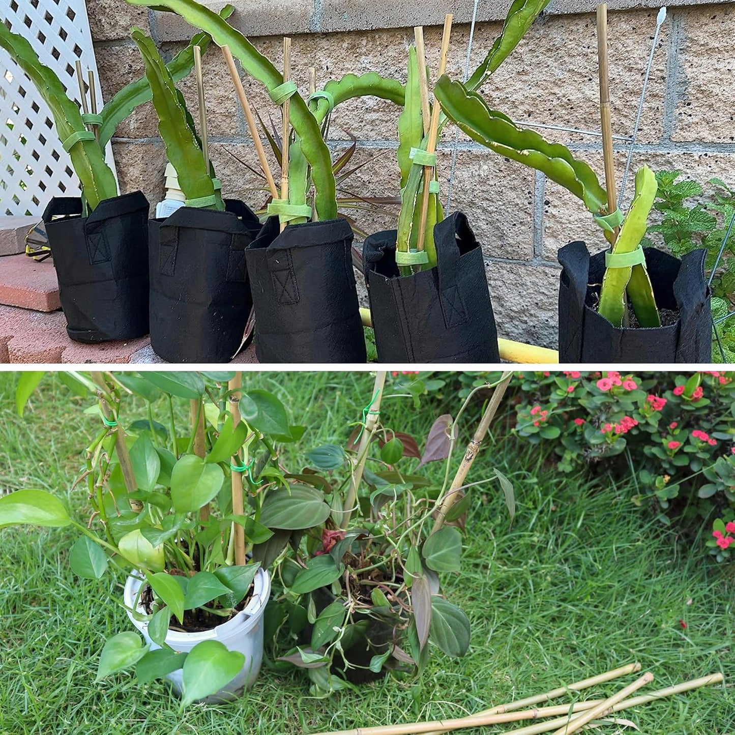 50Pcs / 3ft Bamboo Plant Stakes for Indoor Outdoor Plants, Garden Plant Support Sticks, Poles for Tomato Vegetables Beans Trees Potted Climbing Plants(0.32''-0.4'')