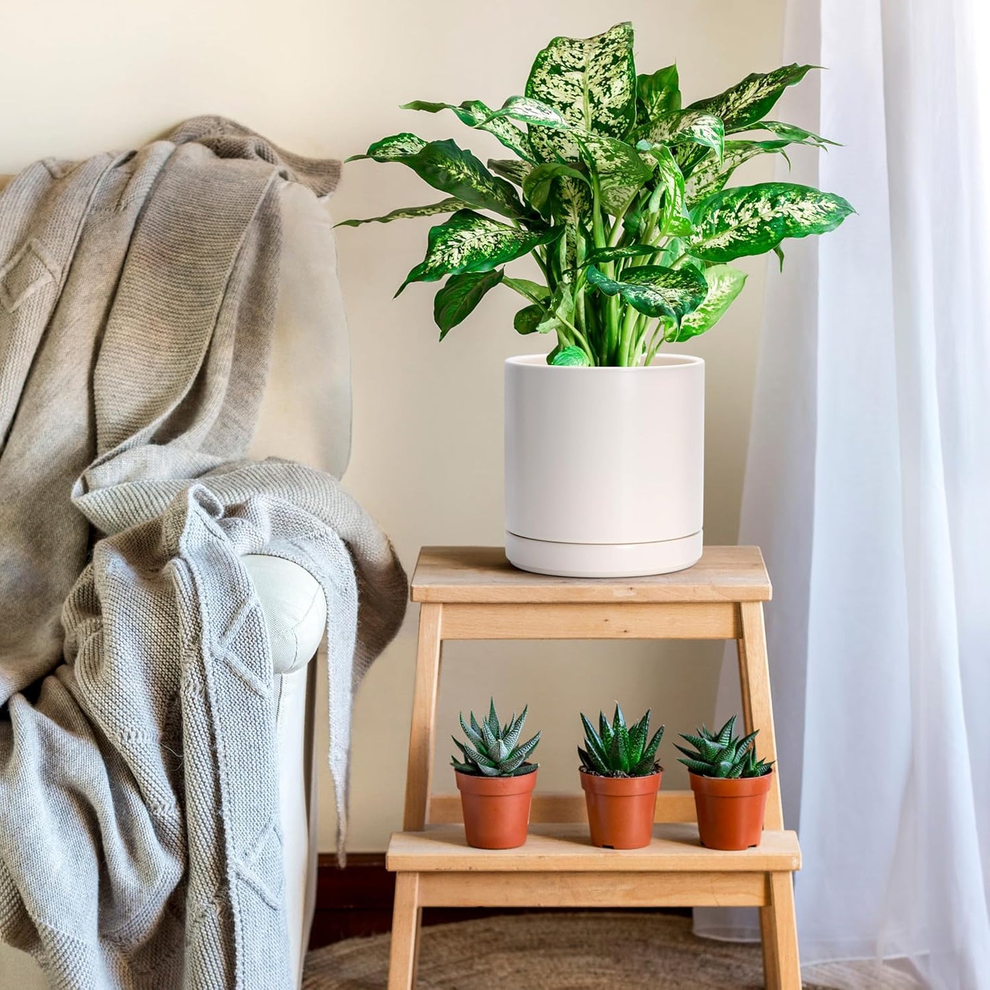 D'vine Dev 8.2 Inch Ceramic Planter Pot with Drainage Hole and Saucer, Indoor Cylinder Round Planter Pot, Oatmeal, 94-O-D-8