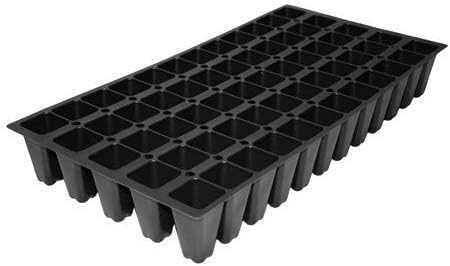 Evergreen Giant Liriope Muscari - 3 Live Plants - Drought Tolerant Low Maintenance Evergreen Groundcover Grass