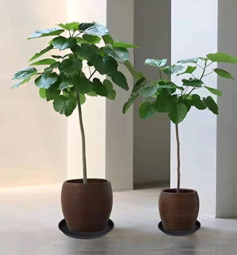 6 Pack of 8 inch Plant Saucer, Heavy Duty Plastic Plant Water Tray, Pebble Tray, Flower Saucers for Indoors, Pot Saucers, Bird Bath Bowls, Plant Dishes for Planter 7"/8" (8", Black)