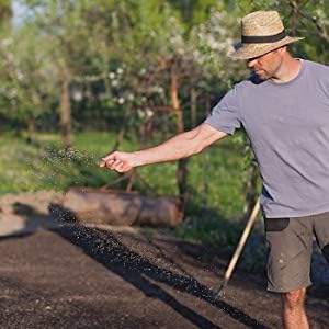 Crimson Clover Seeds (Coated) - 1 Lb - Garden Cover Crop, Non-GMO, Open Pollinated, Perennial, Heirloom - Coated for Easy Planting