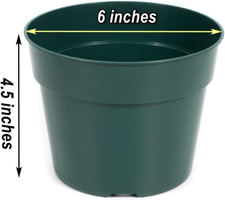 DAPERCI inches Nursery Pot Plant Grow Sturdy Flower pots in Bulk Price 20P Green