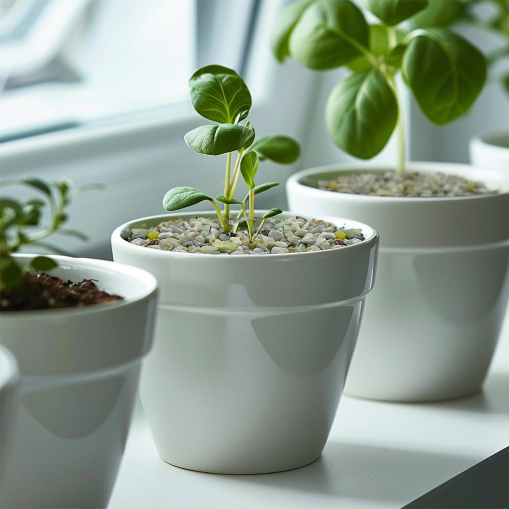 HappyFiller Small Rocks Decorative Aquarium Gravels Tiny Gravel for Fish Turtle Tank,Soil Cover, Indoor Outdoor Garden Succulent Plants Top Dressing,Zen Garden,Vase Fillers,2 LB,Light Green Mix