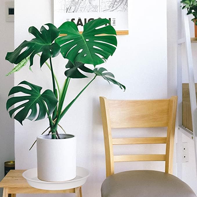 4 Pack of 14 inch Plant Saucers, Plant Saucer 14" Round, Plastic Plant Tray for Flower Pots, White Planters for Indoor Plants, Plant Trays for Planter 12-15" (14", Creamy White)