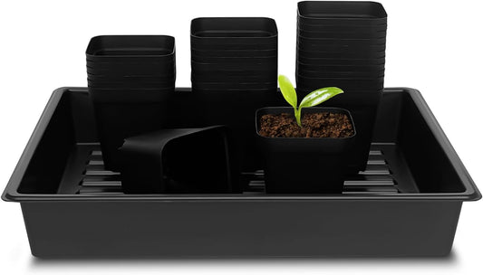 4 inch (10CM) Square Nursery Pots 60pcs, Sturdy Seedlings Trays 5 Pcs, Seeds Starter Germination Tray, Microgreening Planter Nursery Propagation 5 Sets