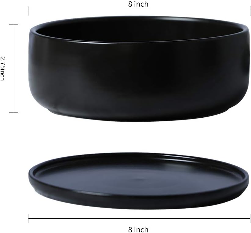 SQOWL 8 Inch Modern Round Flower Pot Black Ceramic Cactus Succulent Planter Pot with Removable Saucer