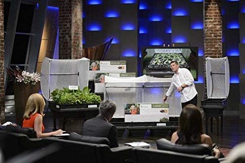 Vegepod - Raised Garden Bed - Self Watering Container Garden Kit with Protective Cover, Easily Elevated to Waist Height, 10 Years Warranty (Large)