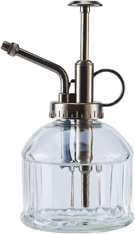 Glass Plant Mister Spray Bottle, 6.5" Tall Vintage Plant Water Spritzer Sprayer, Succulent Watering Bottle with Top Pump, Small Glass Watering Can for Indoor Outdoor Houseplant - Clear
