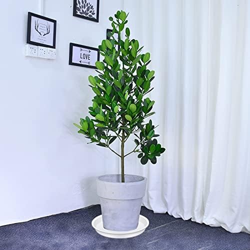 2 Pack of Bird Bath Bowl 12", 1.6" Depth, 10 12 inch Birdbath Bowls Dish Only for The Garden, Large Plant Saucer (12", Creamy White)