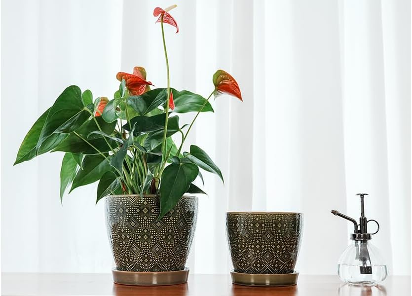 Docrin Ceramic Plant Pots Indoor, 6.6 + 5.5 Inch Planters with Drainage Holes and Saucer for Home/Office - Set of 2 /Dark Green