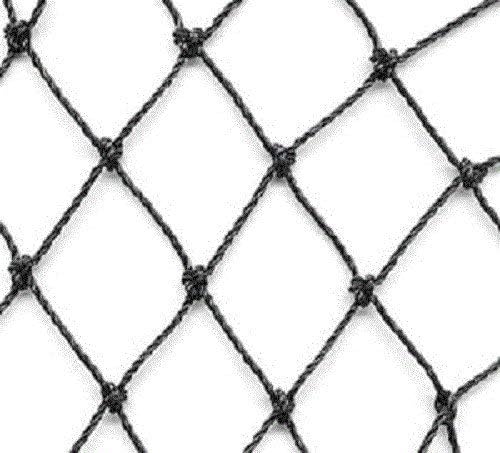 Aviary Netting Heavy Knotted 2 inch Poultry Net (50 ft x 50 ft)