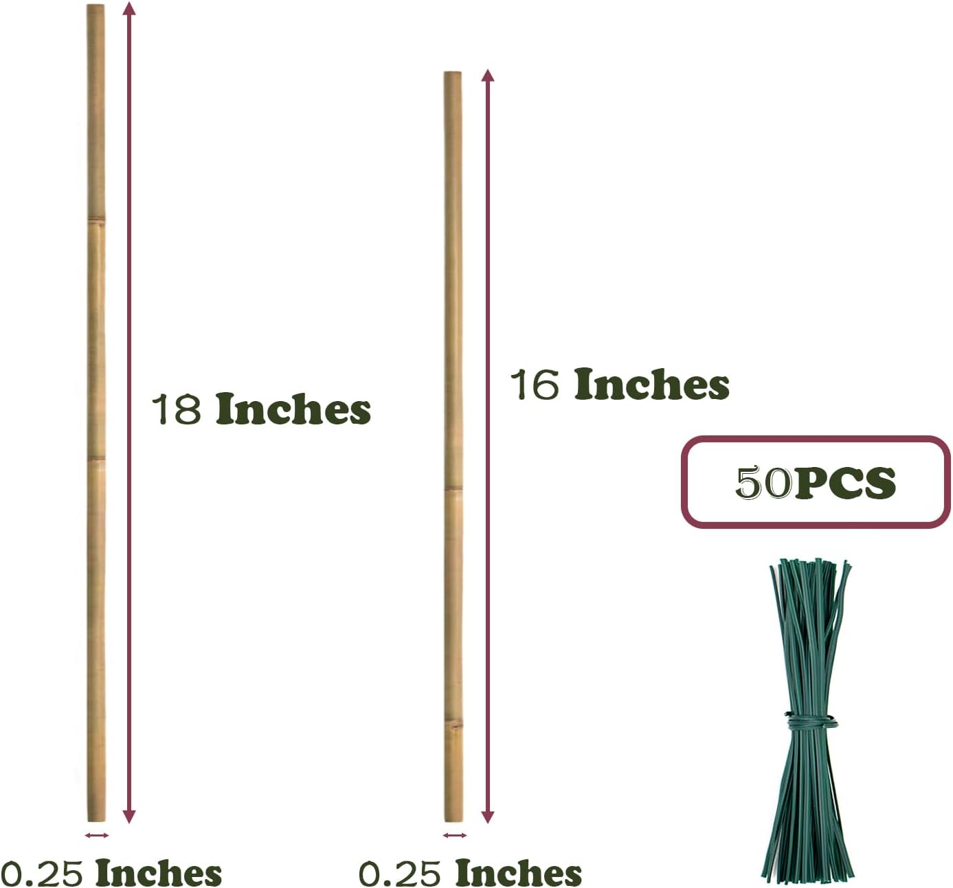 50PCS Plant Stakes,Natural Bamboo Stakes,Garden Stakes for Indoor and Outdoor Plants,POLIUMB Poles Sticks for Tomatoes,Beans,Flowers,Trees Potted and Climbing Plants-18 inches