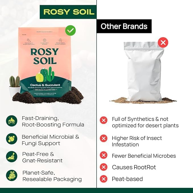 Rosy Soil Cactus and Succulent Potting Soil Mix for Houseplants - Fast Draining Organic Potting Soil for Succulents, AloeVera, Indoor Plant - Root Boosting for Drought Tolerant Growth, Pack of 2