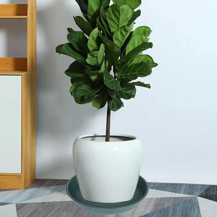 4 Pack of 16 inch Plant Saucer (13.5" Base), Heavy Duty Plastic Plant Tray for Pots, Flower Water Trays for Indoors, Bird Bath Bowls, Plant Drip Saucers for Planter 14"/15"/16" (Green)