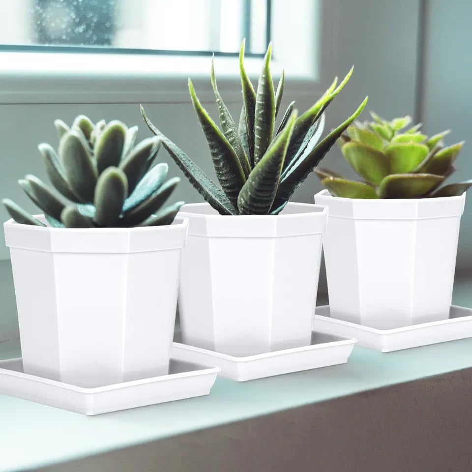 5 Pack Square Plant Saucer, Plastic Plant Water Dray Tray 6 Inch, Planters for for Pots Base Indoors and Outdoors Plants，Heavy Plant Trays for Pots (6 inch, White)