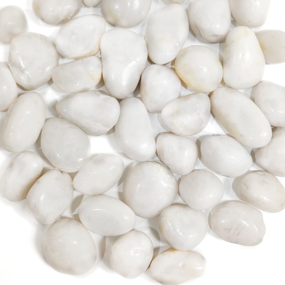 HappyFiller Natural Decorative White Pebbles Polished Rocks Stones for Aquarium Gravel,Fish Turtle Tank,Outdoor Indoor Succulents Plants Top Dressing,Graden Landscaping,2 LB