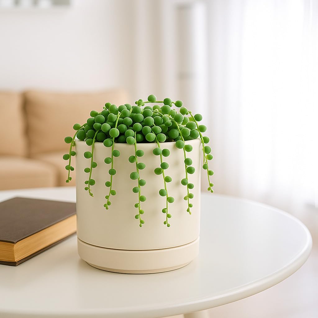 D'vine Dev Set of 4 Small Ceramic Plant Pots, 4.7 Inch Succulent Planter Pot for Plants with Drainage Hole and Saucer, Oatmeal, 94-X-B-8