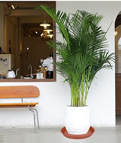 6 Pack of 10 inch Plant Saucer, Heavy Duty Plastic Plant Saucer 10" Round, Plant Tray for Pots, Plant Saucers for Indoors, Plant Trays for Planter 8"/9"/10" (10 inch, Terracotta)