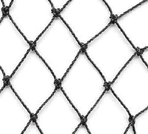 Excursions Aviary Netting Heavy Knotted 2 inch Poultry Net (50 ft x 150 ft)