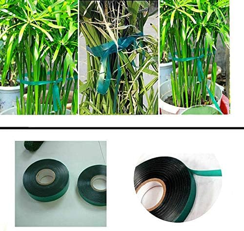 6 Rolls 150 Feet Stretch Tie Tape 0.5 Inch Garden Tie Tape Thick Plant Ribbon Garden Green Vinyl Stake for Indoor Outdoor Patio Plant Use