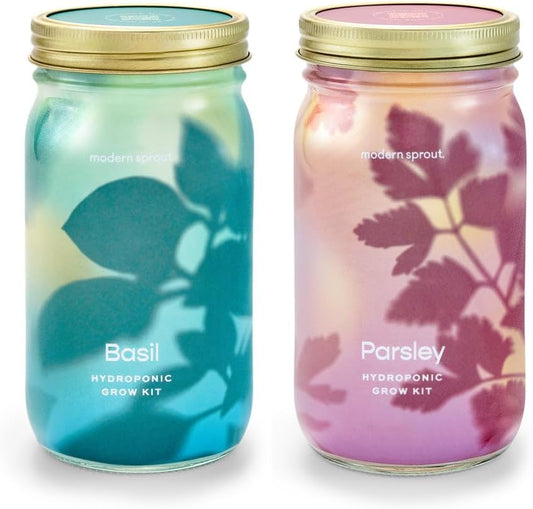 Modern Sprout Mason Garden Jar - Self-Watering Hydroponics Growing System Kit with Organic Herb Seeds - Jar Planter for Indoor Herb Garden - Seed Starter Kit - Home Decor & Gifting - Basil+Parsley