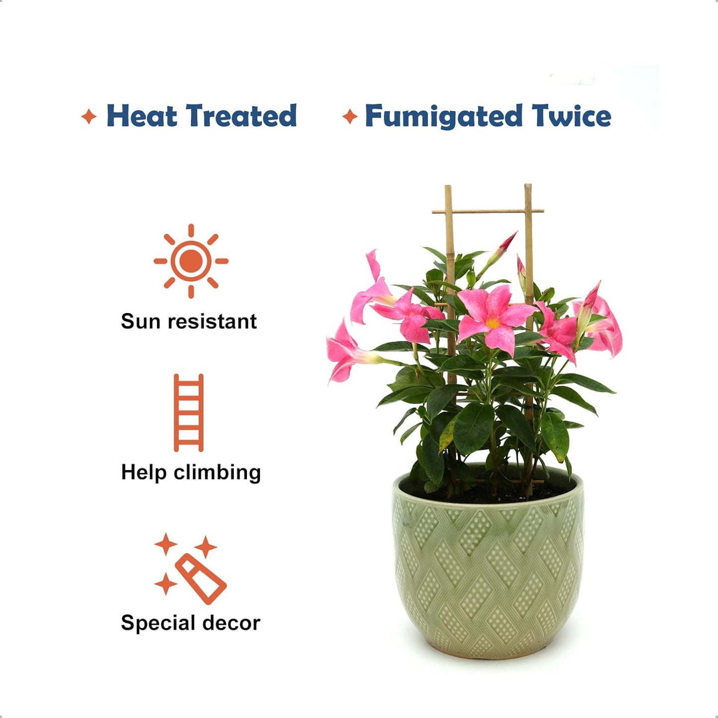 3Pack Bamboo Trellis 16 Inch Ladder Shaped Small Plant Trellis for Indoor Potted Plants Climbing Monstera Orchid Vine Hoya Houseplant