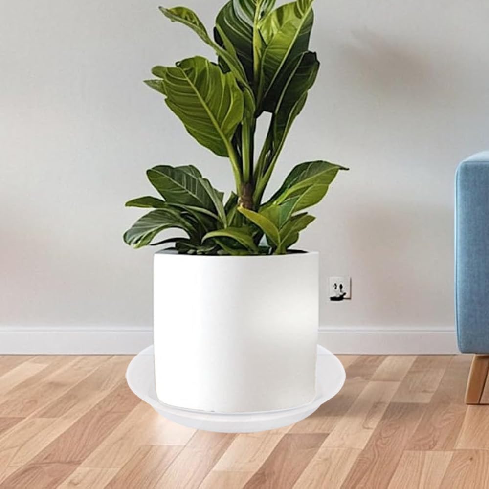 6 Pack Plant Saucer Drip Tray 9 10 inch, Clear Plant Dishes Saucer Plastic Flower Planter Saucers and Drip Trays for Indoors Outdoors, Heavy Durable Plant Plate Water Catcher (10", Clear)