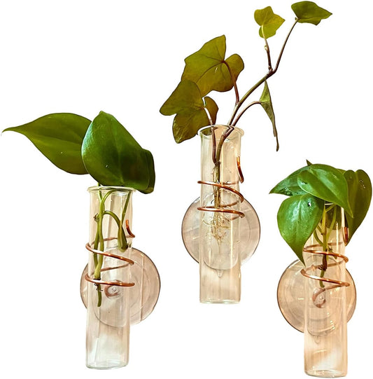 The Little Window Propagator | Window Propagation Station with Removable Glass Tubes, Indoor Plant Clippings, Cut Flowers, Herbs, Succulents | Home Decor | Plant Lover Gift (3)