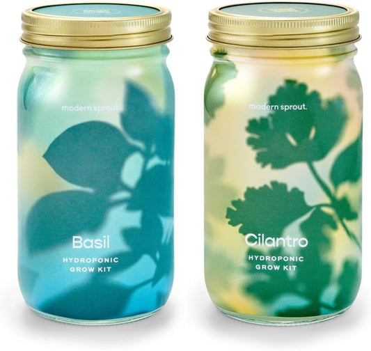 Modern Sprout Mason Garden Jar - Self-Watering Hydroponics Growing System Kit with Organic Herb Seeds - Jar Planter for Indoor Herb Garden - Seed Starter Kit - Home Decor & Gifting - Basil+Cilantro